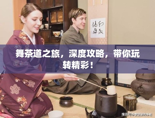 舞茶道之旅,深度攻略,带你玩转精彩!