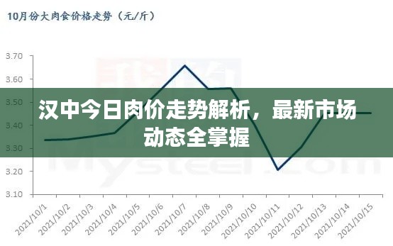 汉中今日肉价走势解析，最新市场动态全掌握