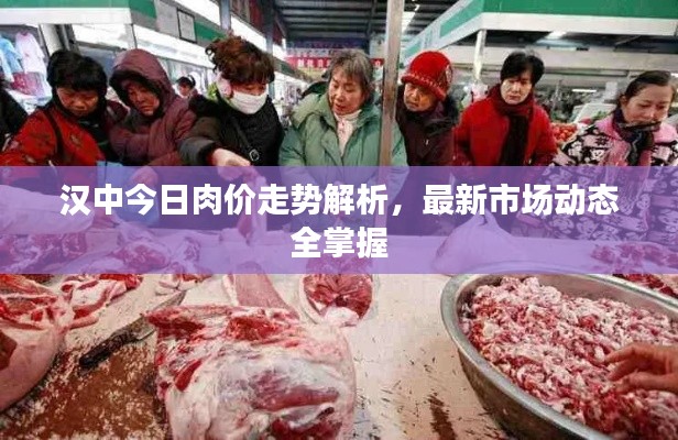 汉中今日肉价走势解析,最新市场动态全掌握