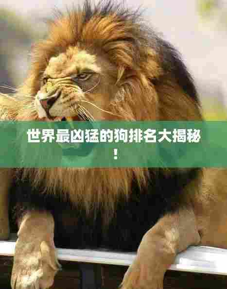 世界最凶猛的狗排名大揭秘!