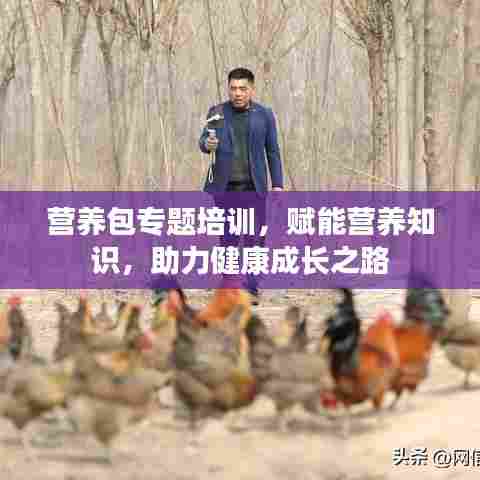 营养包专题培训,赋能营养知识,助力健康成长之路