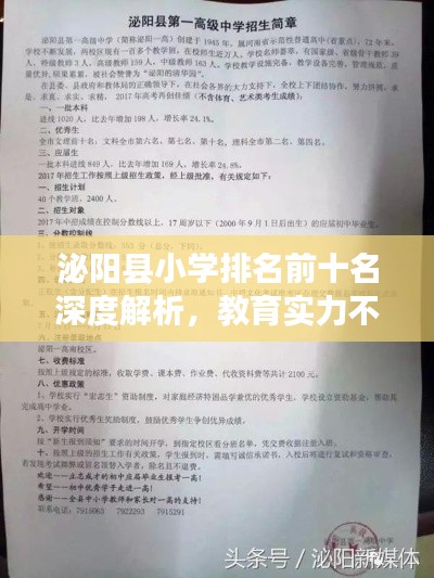 泌阳县小学排名前十名深度解析,教育实力不容小觑!