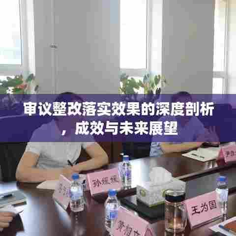 审议整改落实效果的深度剖析，成效与未来展望