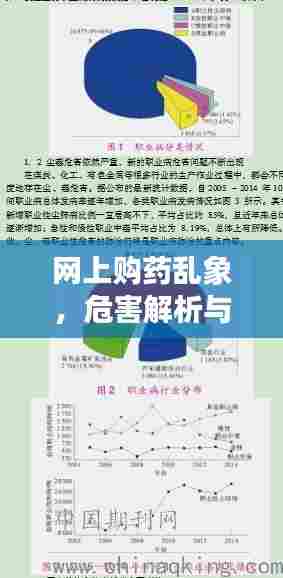网上购药乱象,危害解析与应对策略探讨