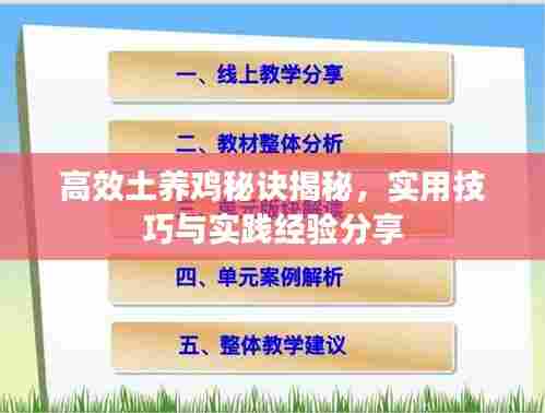 高效土养鸡秘诀揭秘,实用技巧与实践经验分享
