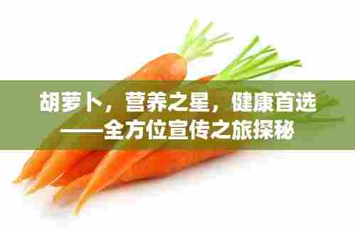 胡萝卜，营养之星，健康首选——全方位宣传之旅探秘