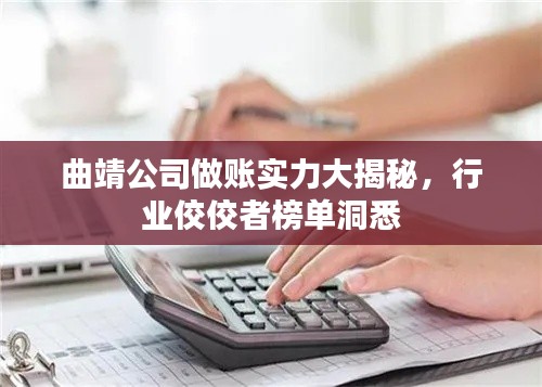 曲靖公司做账实力大揭秘，行业佼佼者榜单洞悉