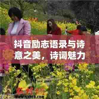 抖音励志语录与诗意之美,诗词魅力无限激发正能量