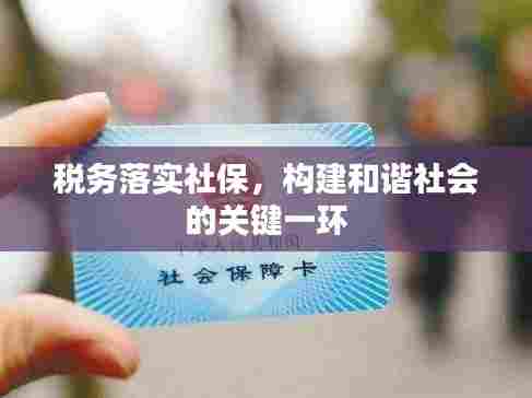 税务落实社保,构建和谐社会的关键一环