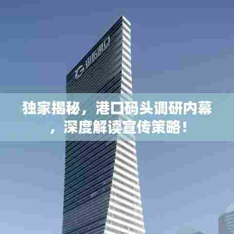 独家揭秘,港口码头调研内幕,深度解读宣传策略!