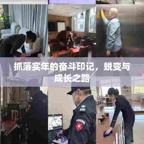 抓落实年的奋斗印记,蜕变与成长之路