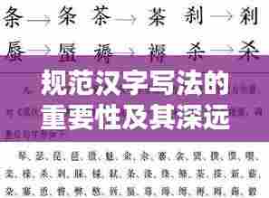 规范汉字写法的重要性及其深远影响