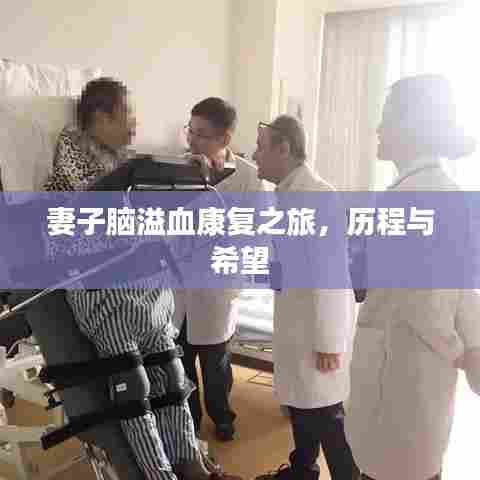 妻子脑溢血康复之旅，历程与希望