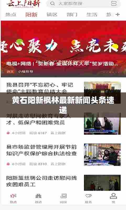 黄石阳新枫林最新新闻头条速递