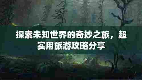 探索未知世界的奇妙之旅，超实用旅游攻略分享