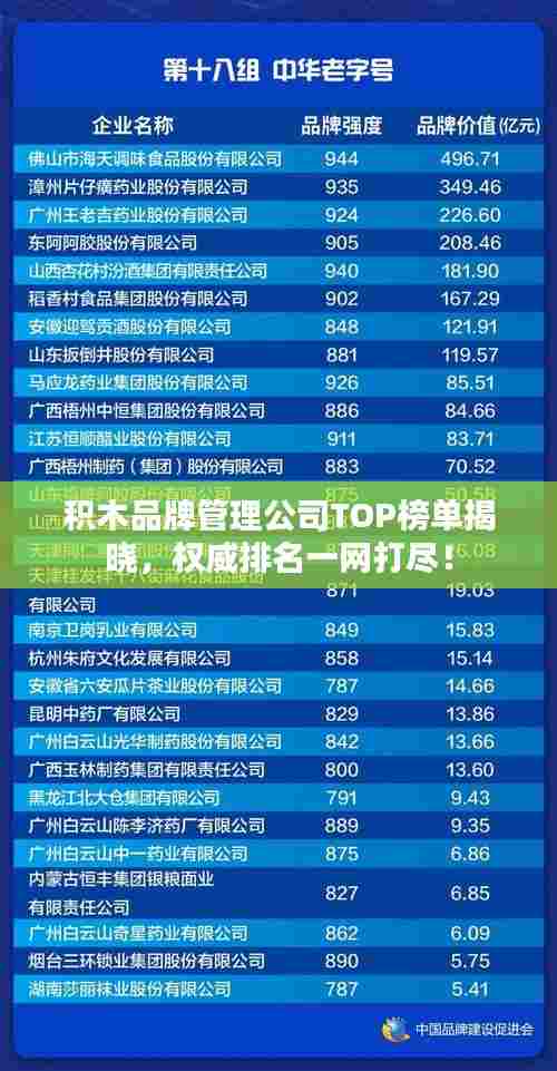 积木品牌管理公司TOP榜单揭晓，权威排名一网打尽！