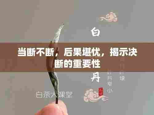 当断不断，后果堪忧，揭示决断的重要性