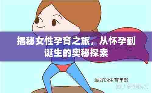 揭秘女性孕育之旅,从怀孕到诞生的奥秘探索