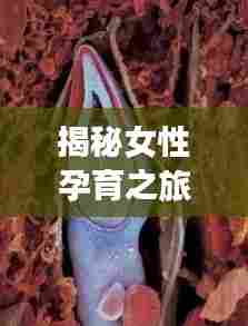 揭秘女性孕育之旅,从怀孕到诞生的奥秘探索