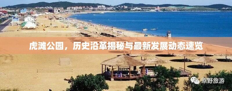 物离乡贵 第5页