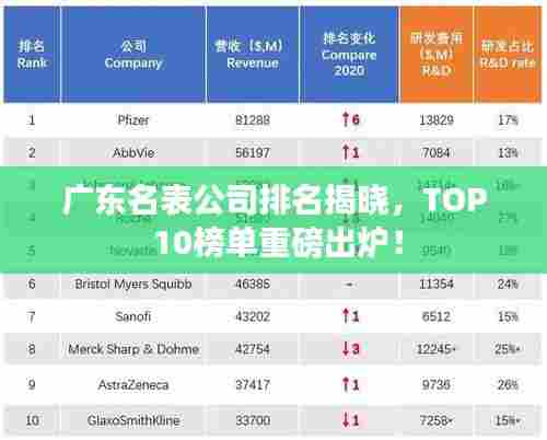 广东名表公司排名揭晓，TOP 10榜单重磅出炉！