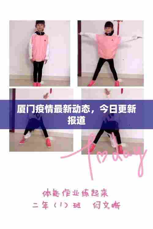 厦门疫情最新动态，今日更新报道