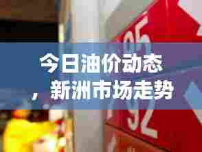 今日油价动态,新洲市场走势揭秘,多重因素决定油价变动