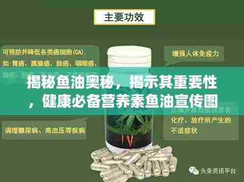 揭秘鱼油奥秘,揭示其重要性,健康必备营养素鱼油宣传图!