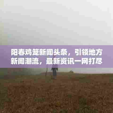 阳春鸡笼新闻头条,引领地方新闻潮流,最新资讯一网打尽