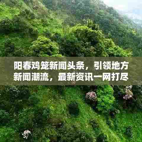 阳春鸡笼新闻头条,引领地方新闻潮流,最新资讯一网打尽