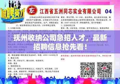 抚州收纳公司急招人才，最新招聘信息抢先看！