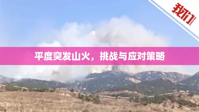 平度突发山火，挑战与应对策略