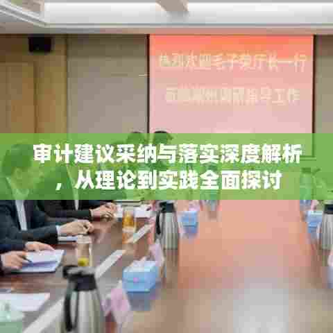 审计建议采纳与落实深度解析，从理论到实践全面探讨