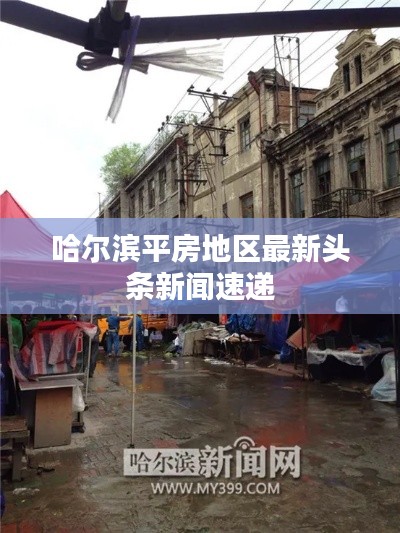 哈尔滨平房地区最新头条新闻速递