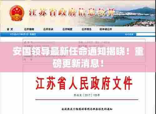 安国领导最新任命通知揭晓!重磅更新消息!