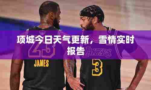 金石为开 第5页