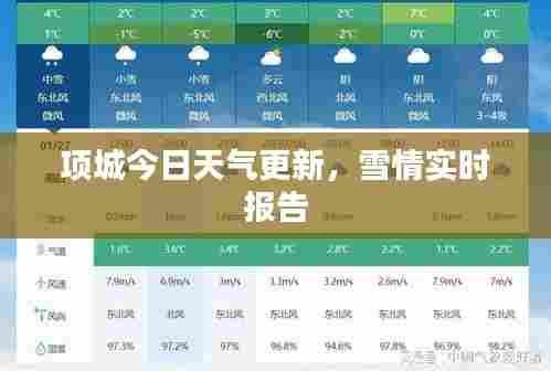 项城今日天气更新,雪情实时报告