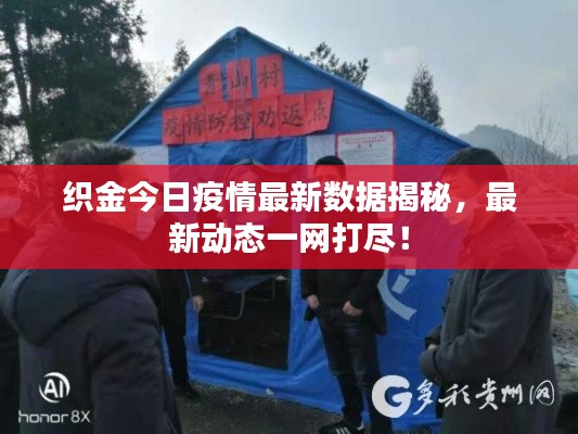 织金今日疫情最新数据揭秘，最新动态一网打尽！