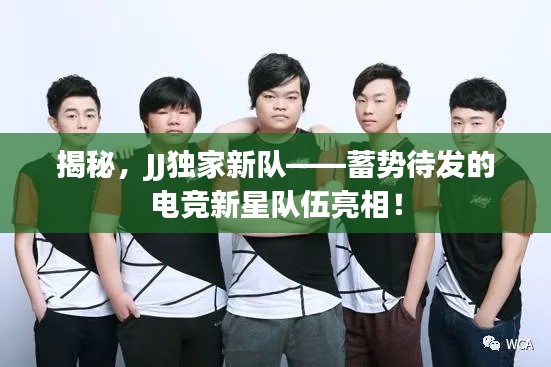 揭秘,JJ独家新队——蓄势待发的电竞新星队伍亮相!