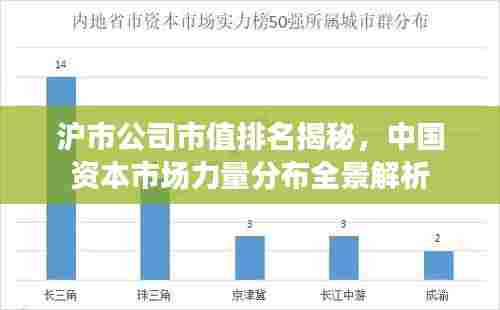 沪市公司市值排名揭秘,中国资本市场力量分布全景解析