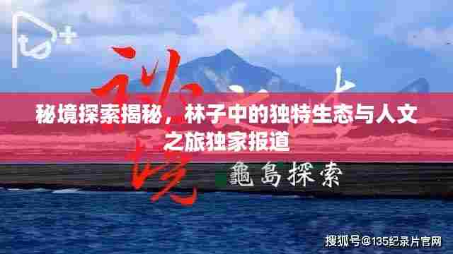秘境探索揭秘,林子中的独特生态与人文之旅独家报道