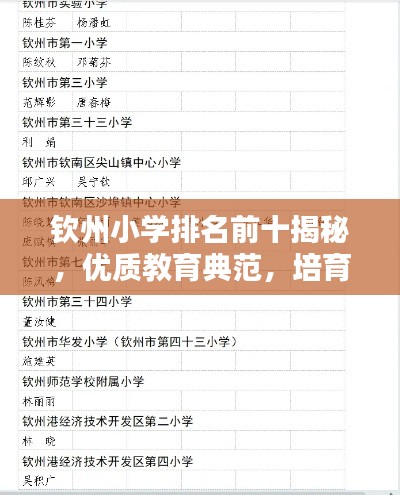 钦州小学排名前十揭秘，优质教育典范，培育未来之星！
