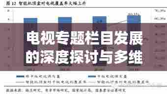 电视专题栏目发展的深度探讨与多维探析