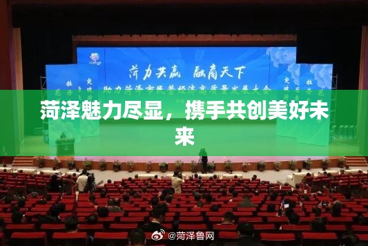 菏泽魅力尽显,携手共创美好未来