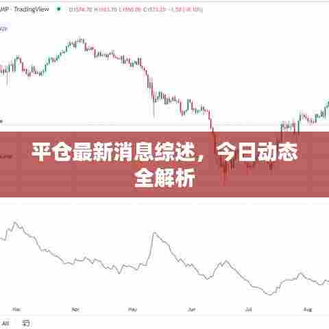 平仓最新消息综述，今日动态全解析