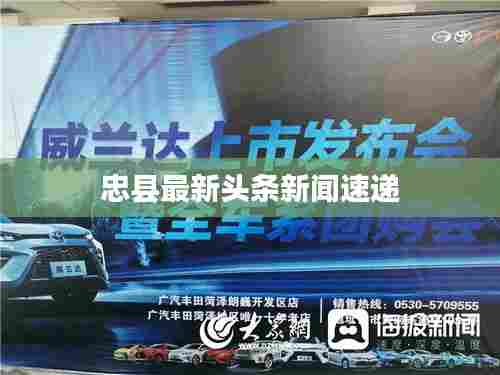 忠县最新头条新闻速递