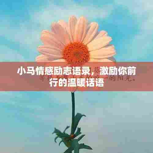 小马情感励志语录，激励你前行的温暖话语