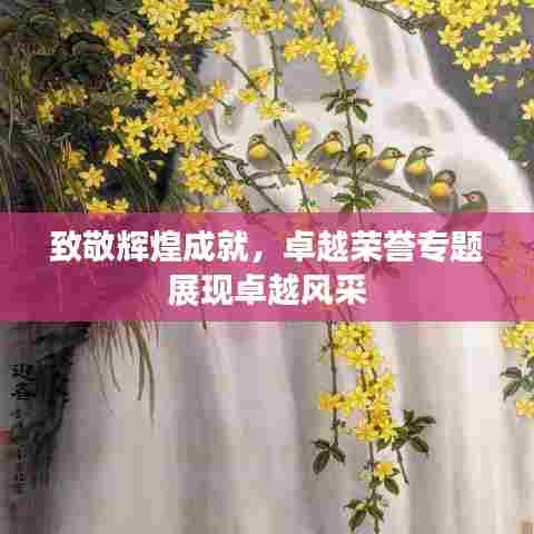 致敬辉煌成就，卓越荣誉专题展现卓越风采