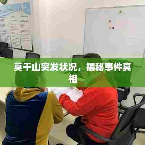 莫干山突发状况,揭秘事件真相