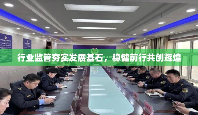 行业监管夯实发展基石,稳健前行共创辉煌